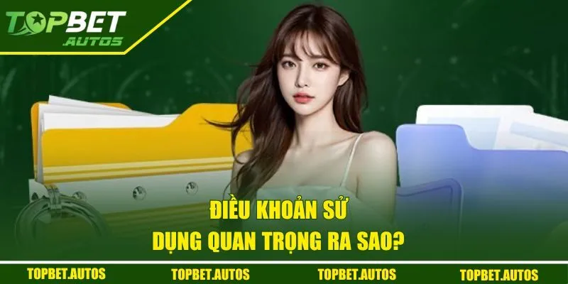 Điều khoản sử dụng quan trọng ra sao? 