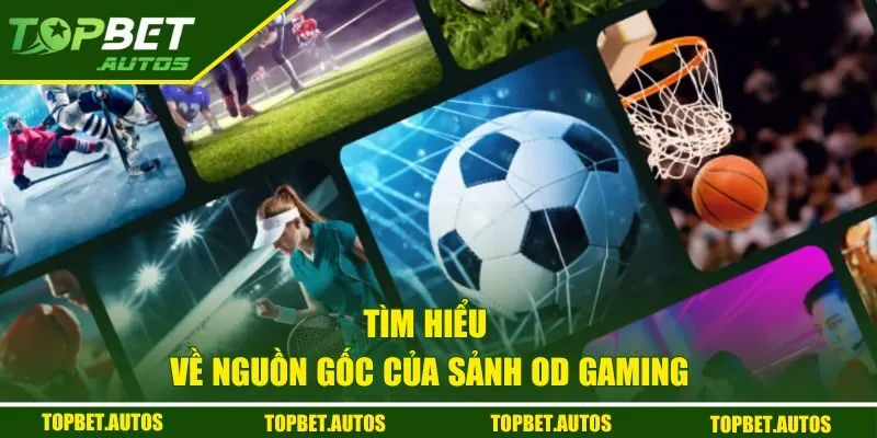 Tìm hiểu về nguồn gốc của sảnh OD Gaming